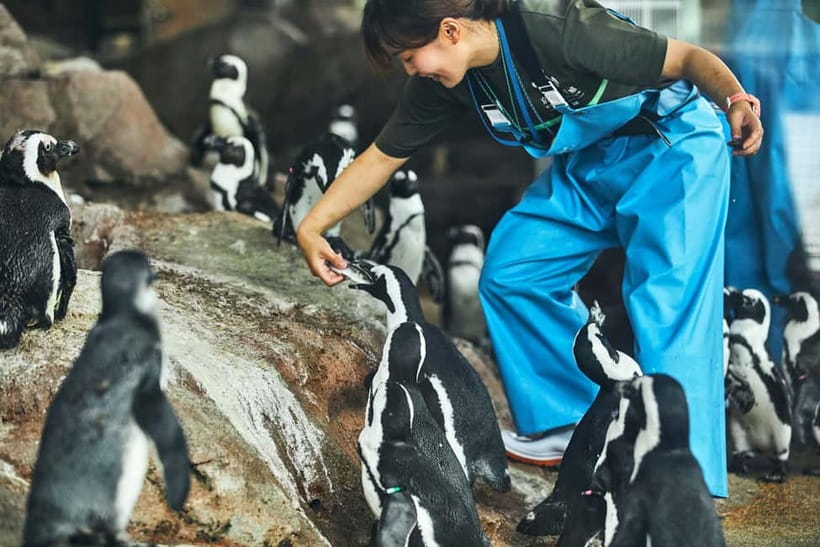 Kyoto Aquarium Admission Ticket - A smart way to pace your visit with one entry only