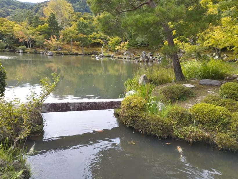 Kyoto: Arashiyama Bamboo Forest and Nijo Castle Private Tour - Key highlights at a glance
