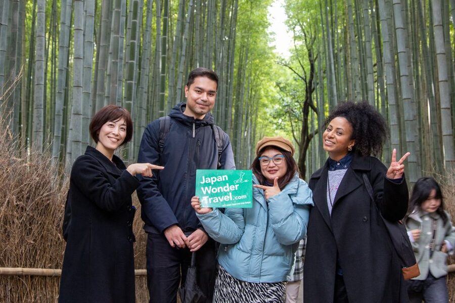 Kyoto Arashiyama Bamboo Forest Customized Private Tour - Togetsukyo bridge, bamboo grove walks, and temple picks for your mood