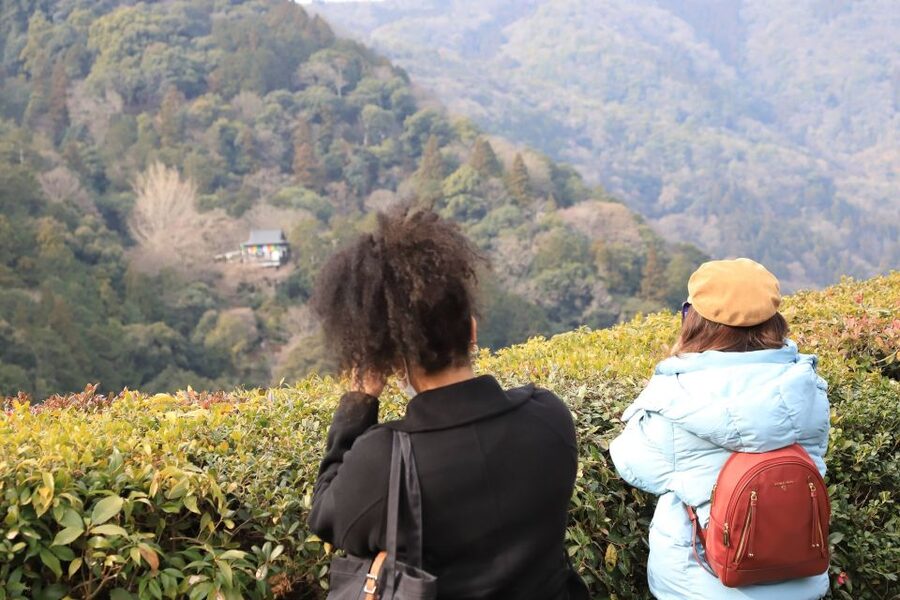 Kyoto Arashiyama Bamboo Forest Customized Private Tour - Beyond the icons: gardens, preservation streets, and Monkey Park options