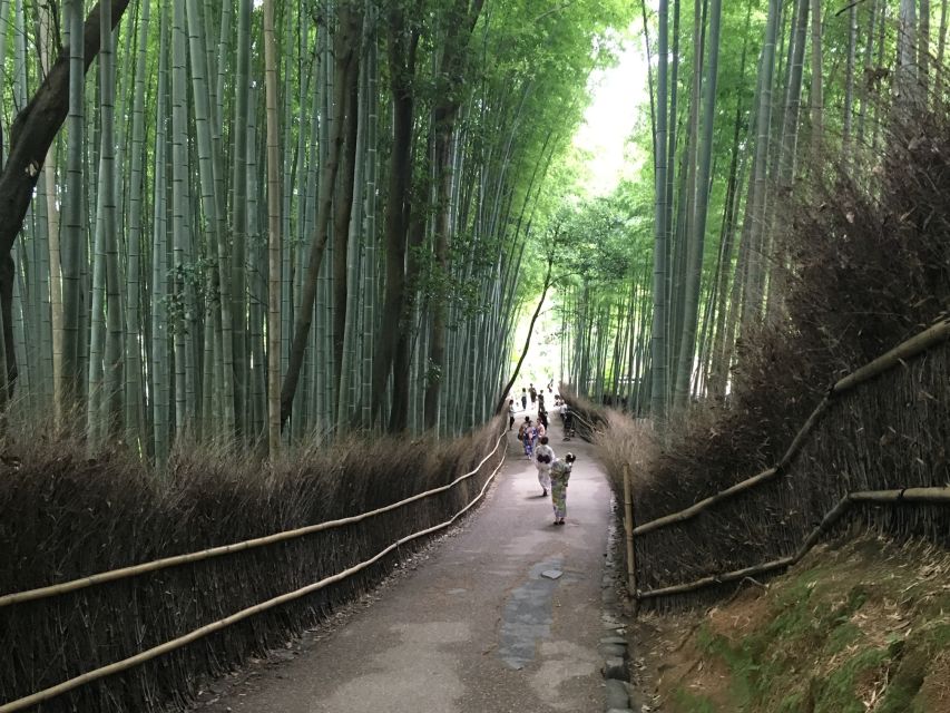 Kyoto Arashiyama Bamboo Forest Customized Private Tour - Should you book this Arashiyama Bamboo Forest customized private tour?