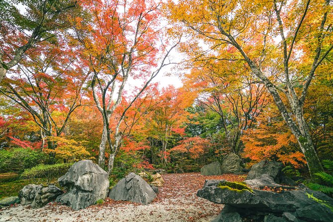 Kyoto Arashiyama Bamboo forest & Garden Half-Day Walking Tour - Bamboo Forest Street: how to get photos without losing the morning