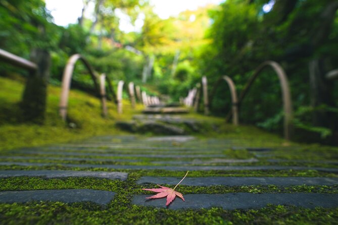 Kyoto Arashiyama Bamboo forest & Garden Half-Day Walking Tour - Lunch by Togetsukyo Bridge: a proper break, not a rushed meal