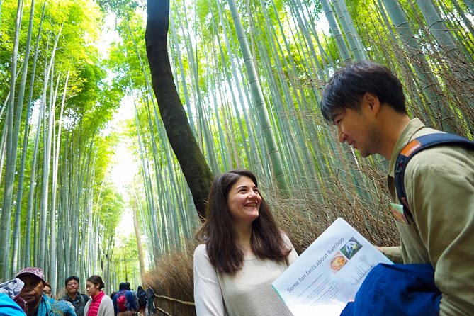 Kyoto Arashiyama Bamboo forest & Garden Half-Day Walking Tour - Small-group pace, included photos, and what the guide really does