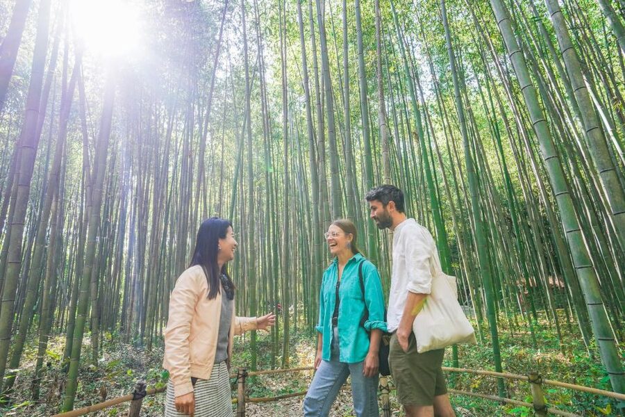 Kyoto Arashiyama Bamboo forest & Hidden Garden Walking Tour - Stop 1: Hōkyō-in Temple and the Zen mindset switch