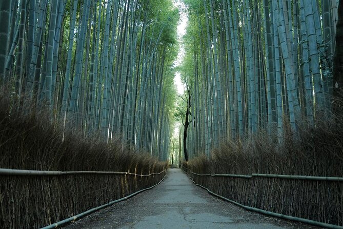 Kyoto Arashiyama Bamboo Forest Hiking Tour（Hidden Temples） - Key Highlights to Know Before You Go