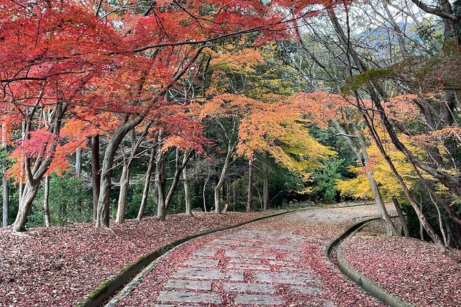 Kyoto Arashiyama Bamboo Forest Hiking Tour（Hidden Temples） - Bamboo Forest Walk With a Shortcut Mindset