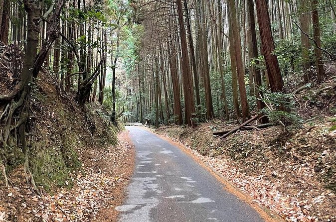 Kyoto Arashiyama Bamboo Forest Hiking Tour（Hidden Temples） - Why This Guided Trail Beats DIY in Arashiyama