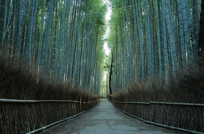 Kyoto Arashiyama Bamboo Forest Hiking Tour（Hidden Temples） - Who Should Book This Hidden Temples Arashiyama Tour?