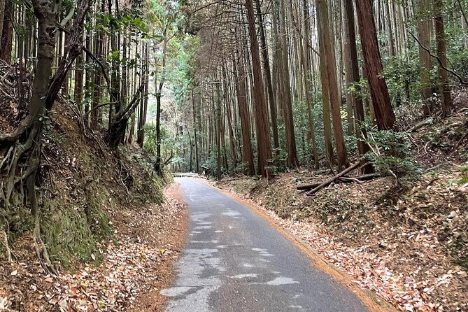 Kyoto Arashiyama Bamboo Forest Hiking Tour（Hidden Temples） - Should You Book This Arashiyama Bamboo Forest Hiking Tour?