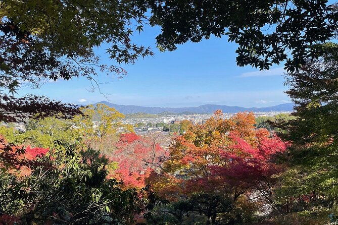 Kyoto Arashiyama Bamboo Forest Hiking Tour(Hidden Temples) - The Mountain Hike for Kyoto Views (Bring the Basics)