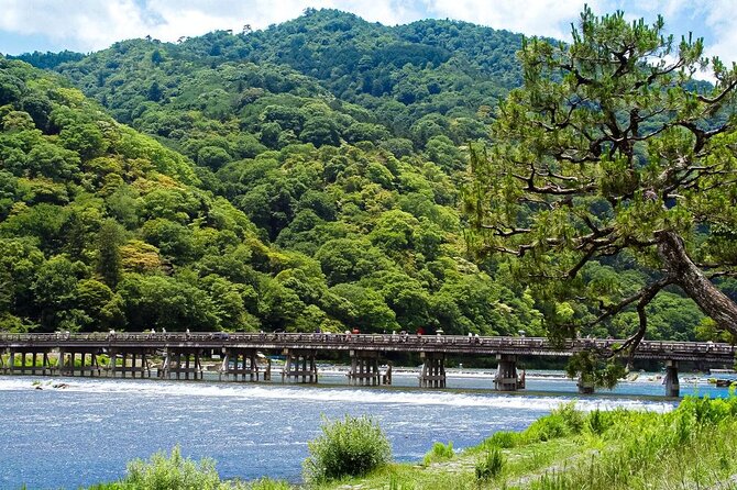 Kyoto: Arashiyama Bamboo Forest, Monkeys, Matcha & Temple Tour - Arashiyama in 4 to 4.5 Hours: what this route does best