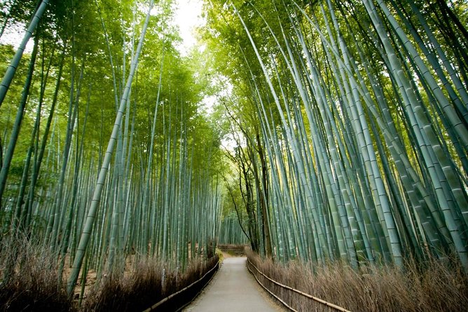 Kyoto Arashiyama Bamboo Forest & Scenery Customized Private Tour - Key highlights to know before you go