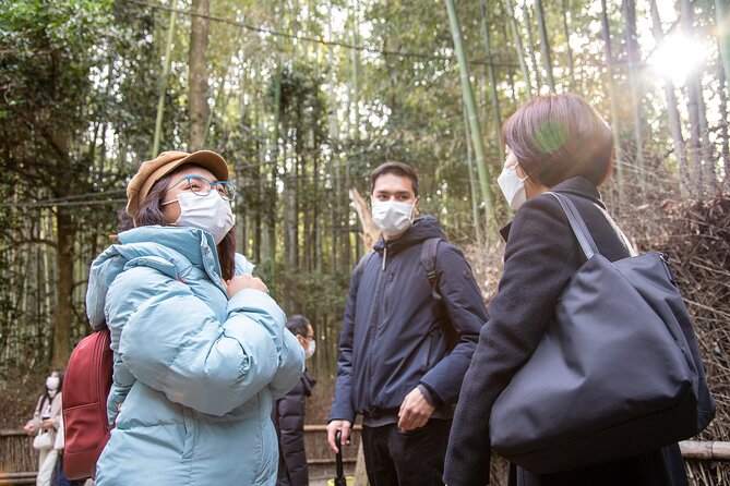 Kyoto Arashiyama Bamboo Forest & Scenery Customized Private Tour - Stop-by-stop: Togetsukyo Bridge, Tenryu-ji, and Okochi Sanso
