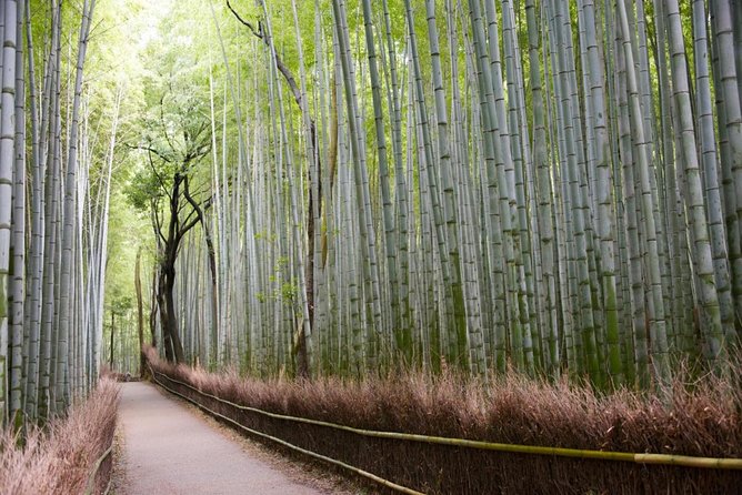 Kyoto Arashiyama Bamboo Forest & Scenery Customized Private Tour - Meeting at Saga-Arashiyama Station and how the walk stays flexible