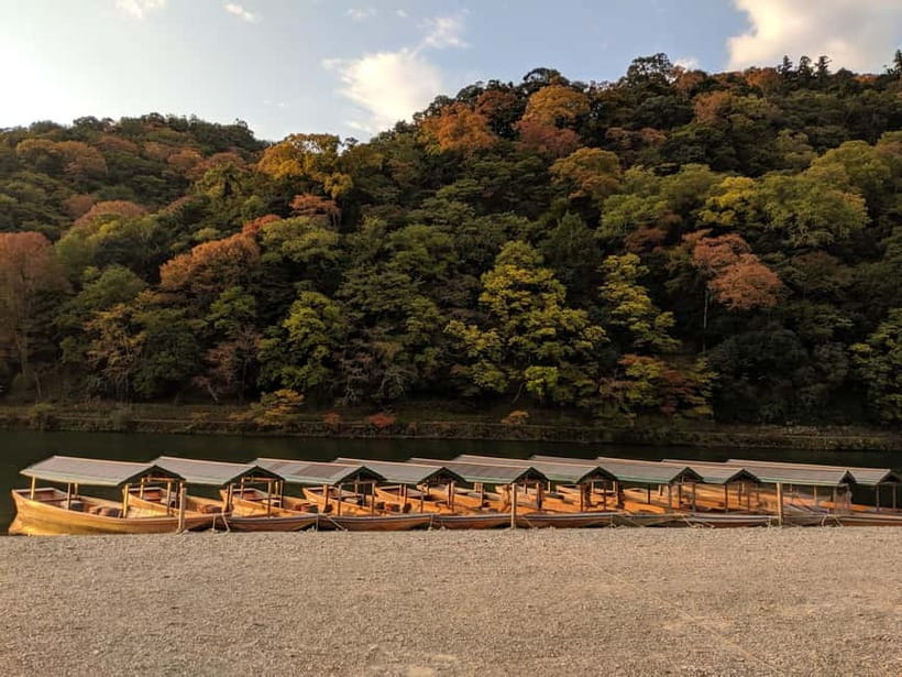 Kyoto: Arashiyama Bamboo Grove, Monkey Mountain Walking Tour - Who should book this Kyoto half-day, and who should skip it
