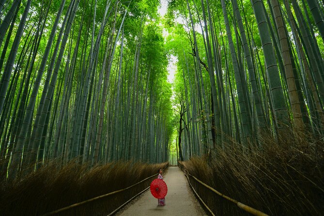 Kyoto: Arashiyama Bamboo, Temple, Matcha, Monkeys & secret spots - Stop 3: Tenryu-ji Temple, pond views and koi fish moments