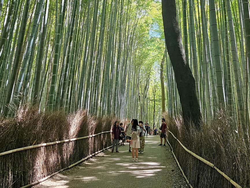 Kyoto: Arashiyama Bamboo, Togetsukyo bridge, Sanso, and more - Who this tour is best for