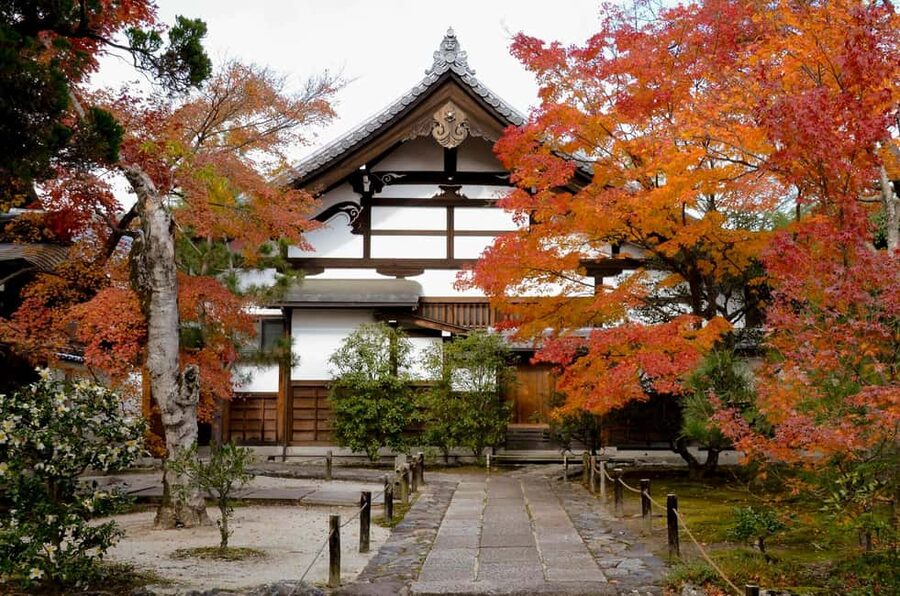 Kyoto: Arashiyama Bamboo, Togetsukyo bridge, Sanso, and more - Sagano Bamboo Forest: the photo is only half the story