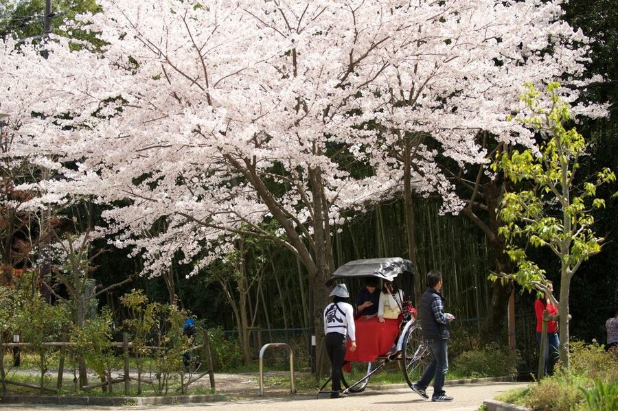 Kyoto: Arashiyama Customized Rickshaw Tour & Bamboo Forest - Rakushisya Cottage and Arashiyama’s Quiet Neighborhood Streets