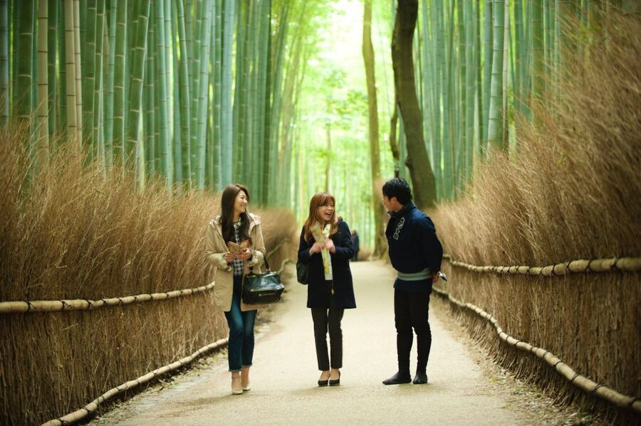 Kyoto: Arashiyama Customized Rickshaw Tour & Bamboo Forest - Temples and Gardens: Nison-in and Shrine Stops