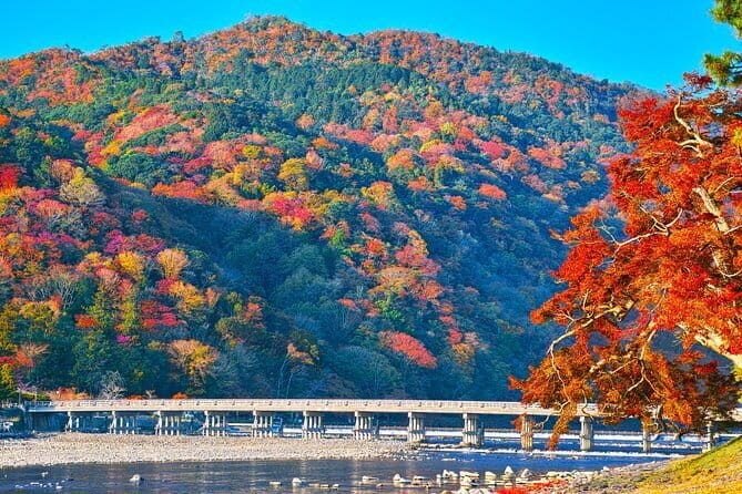 Kyoto Arashiyama: Fall Foliage Walking Tour【Autumn's limited】 - Key highlights to look for