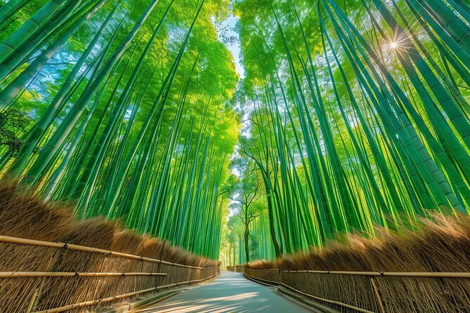 Kyoto Arashiyama: Fall Foliage Walking Tour【Autumn's limited】 - Arashiyama shopping street: souvenirs and snacks as a reset