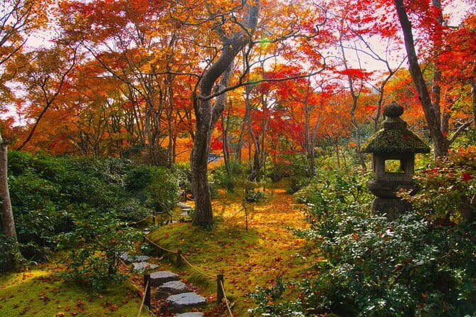 Kyoto Arashiyama: Fall Foliage Walking Tour【Autumn's limited】 - Eki no Ashiyu foot bath: a small break that changes the day