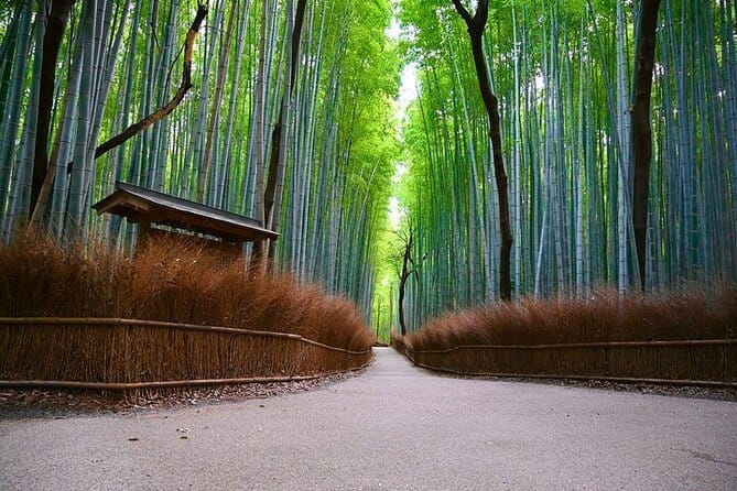 Kyoto Arashiyama: Fall Foliage Walking Tour【Autumn's limited】 - Okochi Sanso Garden: 45 minutes to breathe and look far