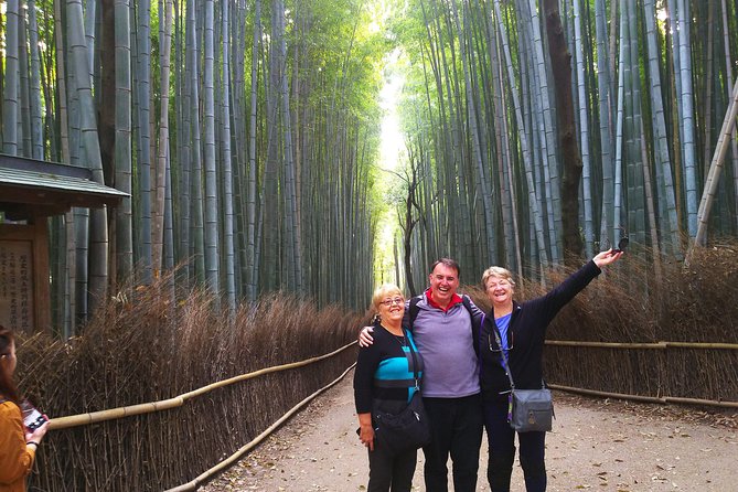 Kyoto Arashiyama & Golden Pavilion One-Day Walking Tour - Tenryu-ji Temple: UNESCO garden time in the heart of the day