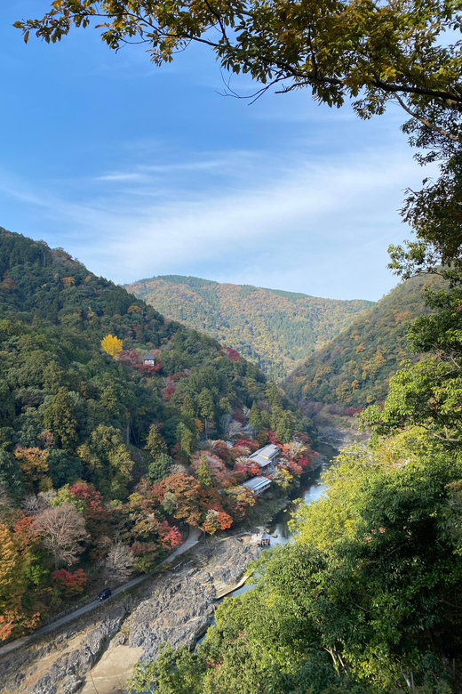 Kyoto: Arashiyama Guided Tour, Bamboo, Monkey, Zen Temple - Meeting at JR Saga-Arashiyama Station and Starting in the Right Spot