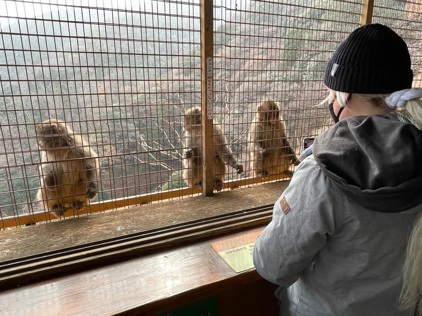 Kyoto: Arashiyama Guided Tour, Bamboo, Monkey, Zen Temple - The 15-Minute Guided Stops That Make the Whole Day Click