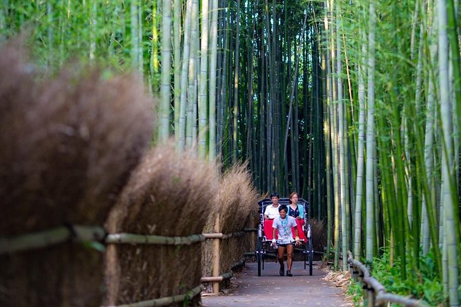 Kyoto Arashiyama Rickshaw Tour with Bamboo Forest - The rickshaw-only bamboo lane: what the ride part feels like