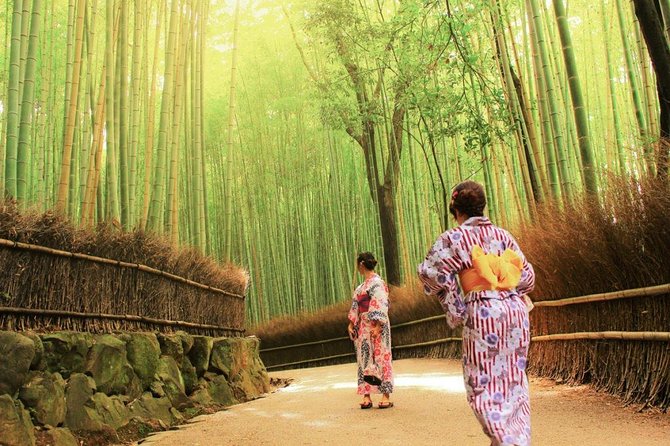 Kyoto Arashiyama & Sagano Bamboo Private Tour with Government-Licensed Guide - Key takeaways