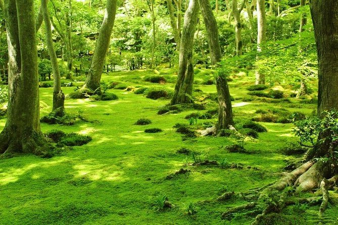 Kyoto Arashiyama & Sagano Bamboo Private Tour with Government-Licensed Guide - Tenryuji Zen gardens and Okochi Sanso for the quieter side