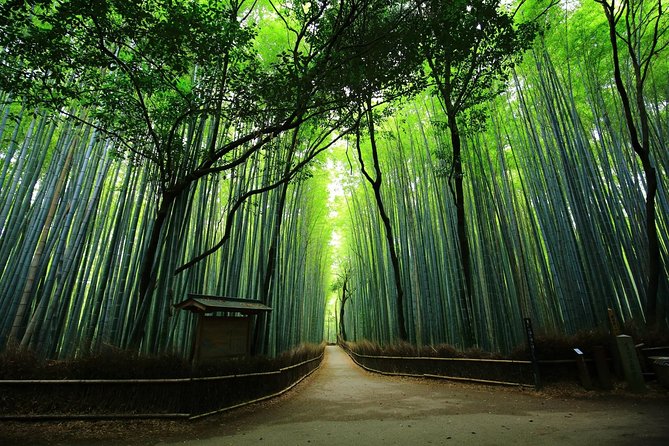 Kyoto Arashiyama & Sagano Bamboo Private Tour with Government-Licensed Guide - The 6 hour walking day: how to pace it for comfort