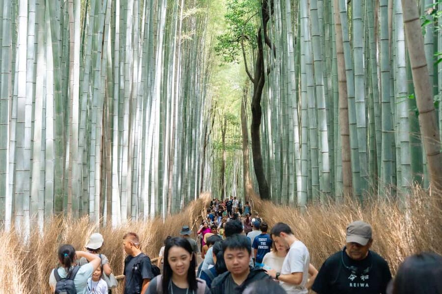 Kyoto Arashiyama tour: Iconic Sights and Hidden Treasures - Key highlights that make this Arashiyama tour worth your time