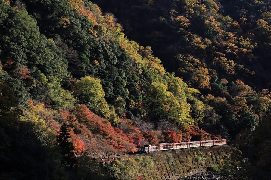 Kyoto: Arashiyama Tour with optional Sagano Romantic Train - Mikami Shrine: a short stop that adds context
