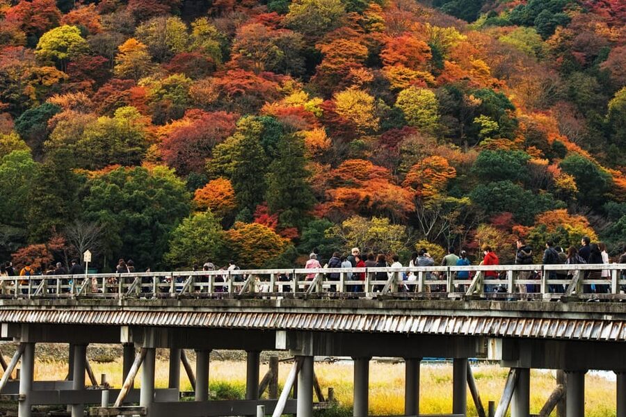 Kyoto: Arashiyama Tour with optional Sagano Romantic Train - Getting your bearings at the stations, before the walking starts
