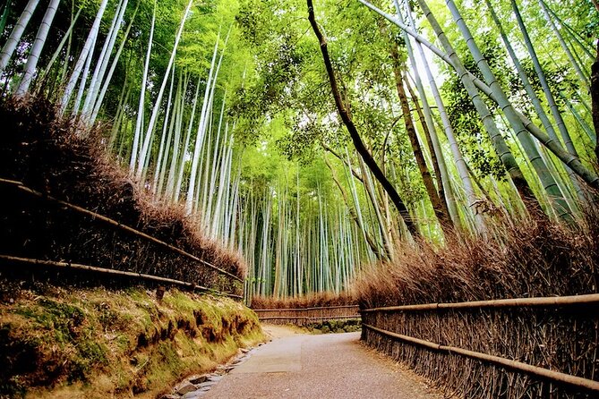Kyoto Arashiyama Walking Tour: Bamboo, Monkeys, Gardens & Secrets - Okochi Sanso Garden: the calm break behind the bamboo