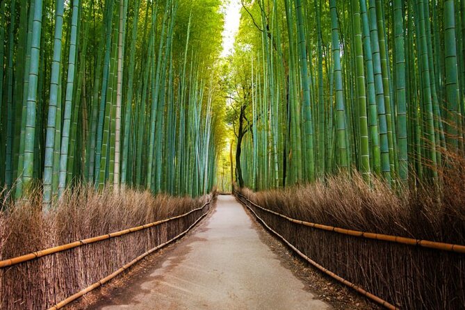 Kyoto Arashiyama Walking Tour: Bamboo, Monkeys, Gardens & Secrets - Togetsukyo Bridge: river views and a quick shift in scenery