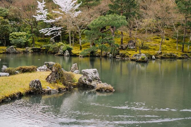 Kyoto Arashiyama Walking Tour: Bamboo, Monkeys, Gardens & Secrets - Monkey Park Iwatayama: the hilltop climb and the payoff