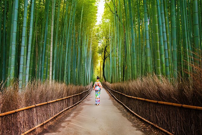 Kyoto Arashiyama Walking Tour: Bamboo, Monkeys, Gardens & Secrets - Meeting at the right station, then getting oriented fast