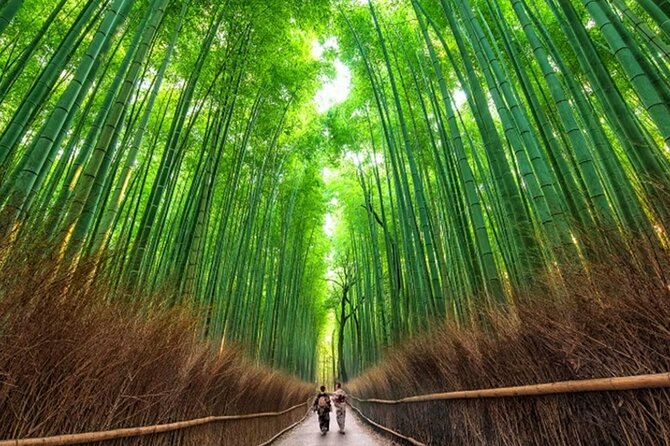 Kyoto: Arashiyama Walking Tour – UNESCO World Heritage - Key highlights you will care about