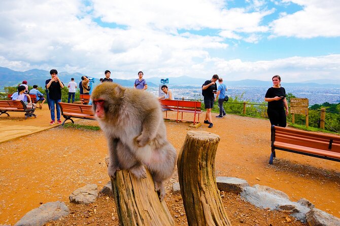 Kyoto: Arashiyama Walking Tour – UNESCO World Heritage - Tenryu-ji Temple: UNESCO Calm, Sogenchi Garden Focus
