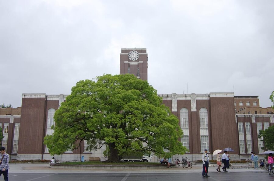 Kyoto: Authentic Biking Half Day Experience - Shimogamo-jinja Shrine: old Shinto in a wooded setting