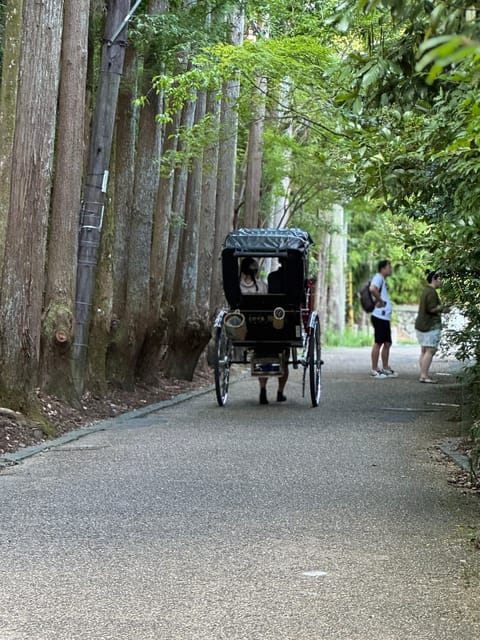 Kyoto: Avoid the Crowds at the Hidden Gems of Arashiyama - Key takeaways
