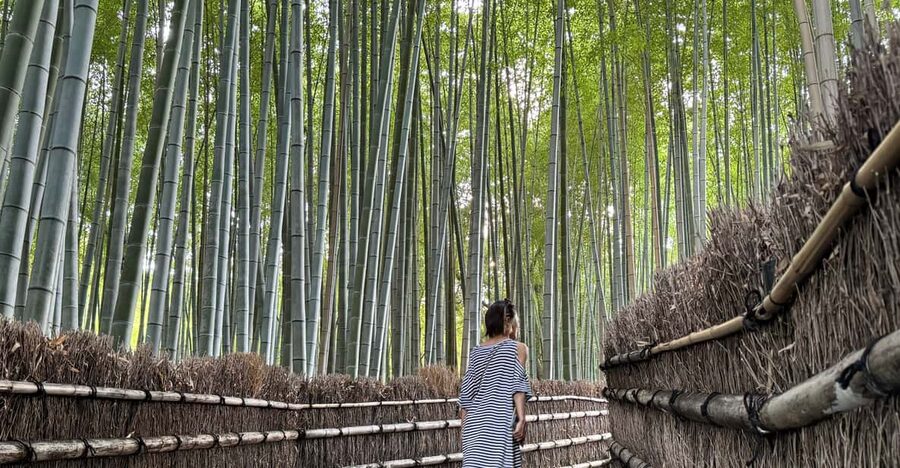 Kyoto: Avoid the Crowds at the Hidden Gems of Arashiyama - Why this Arashiyama route feels calmer than the usual plan