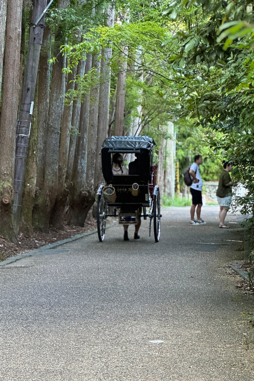 Kyoto: Avoid the Crowds at the Hidden Gems of Arashiyama - Meet-up at Saga Arashiyama Station, then straight to Togetsukyo Bridge