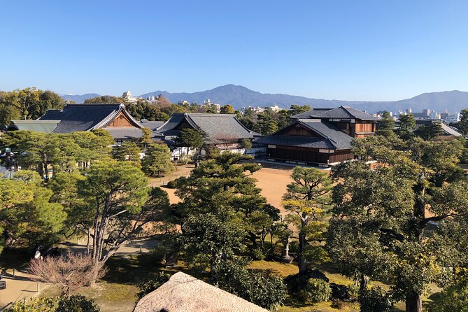 Kyoto Bamboo Forest & Golden Pavilion E-Bike Tour - Kitano Tenmangu Shrine: learning deity, plum trees, and a slower pace